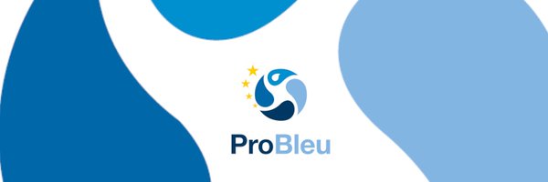pro_bleu Profile Banner