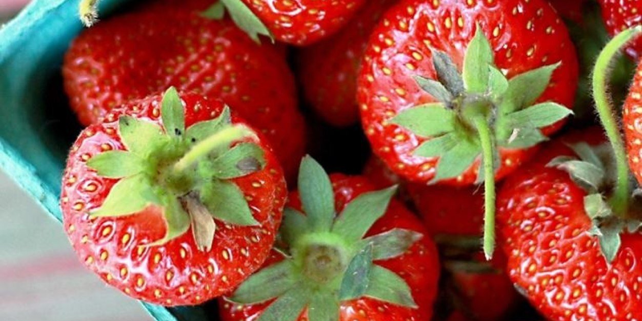 DominiqueGroves's profile banner image