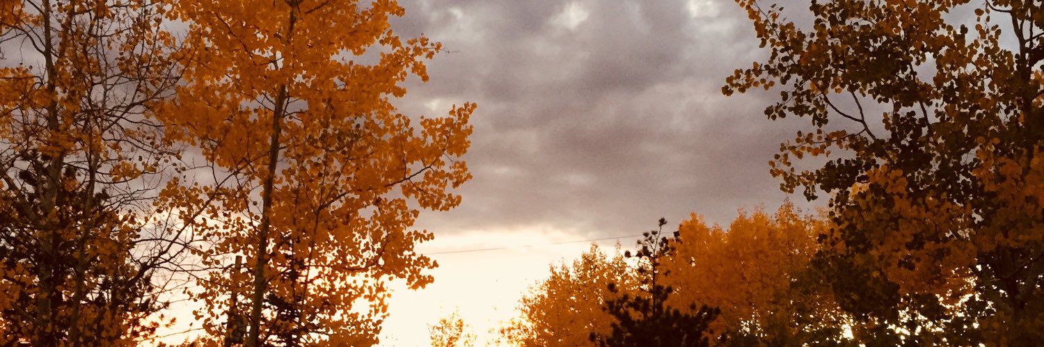 SteppinAce's profile banner image