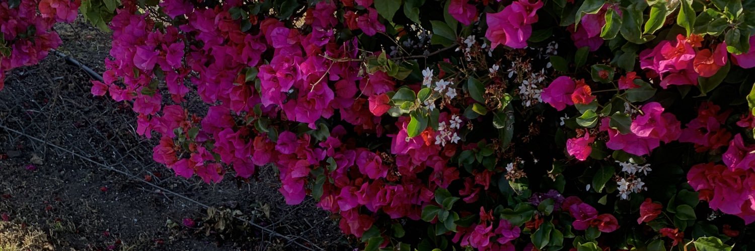 xemmatsx's profile banner image