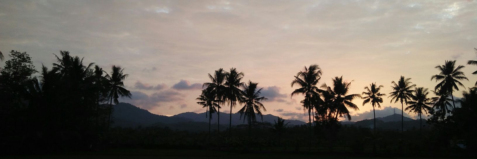 sedangumpet's profile banner image