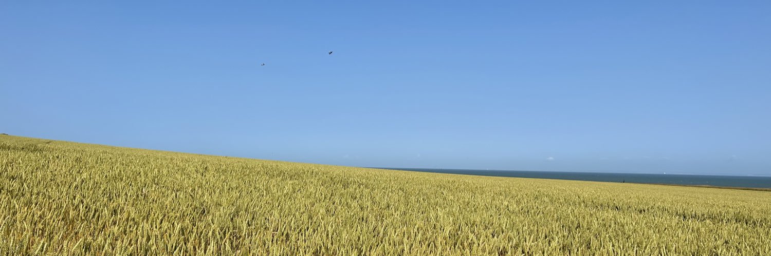 Pete Blocksberg🕊️ banner