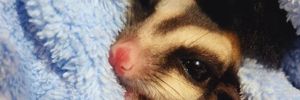 Misticly_ Profile Banner