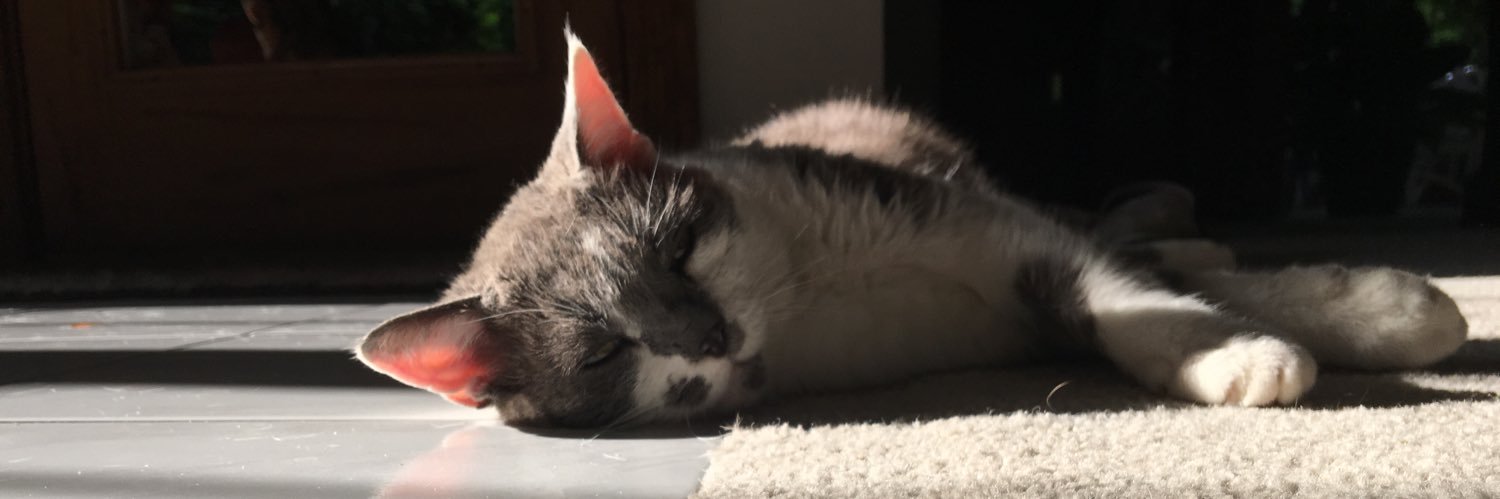 dwinnny's profile banner image
