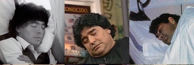 Dua Chipa🍕 banner