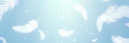 らいな✧ banner