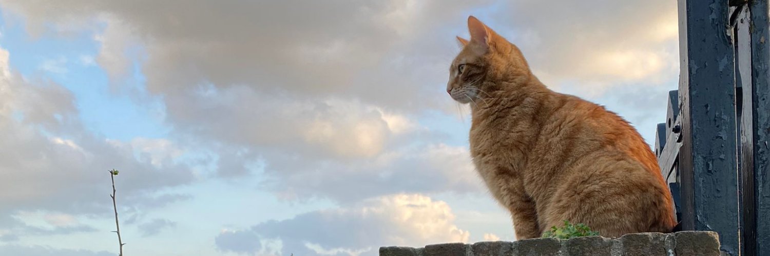 ijme's profile banner image
