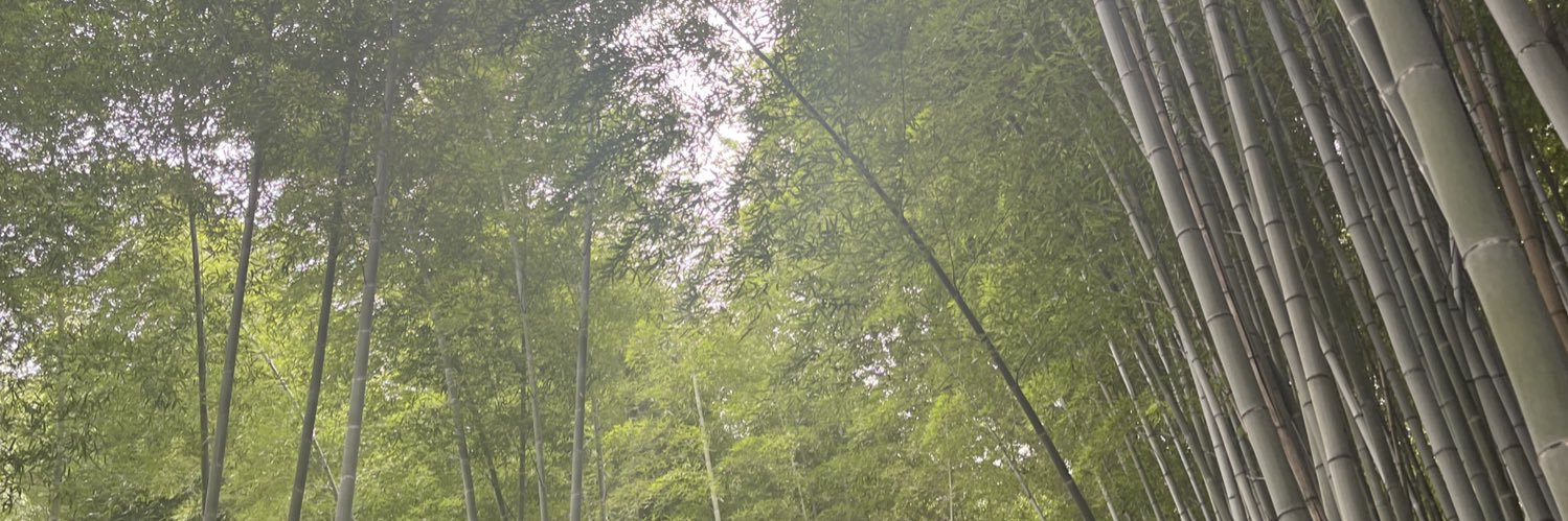 erinmstyles's profile banner image