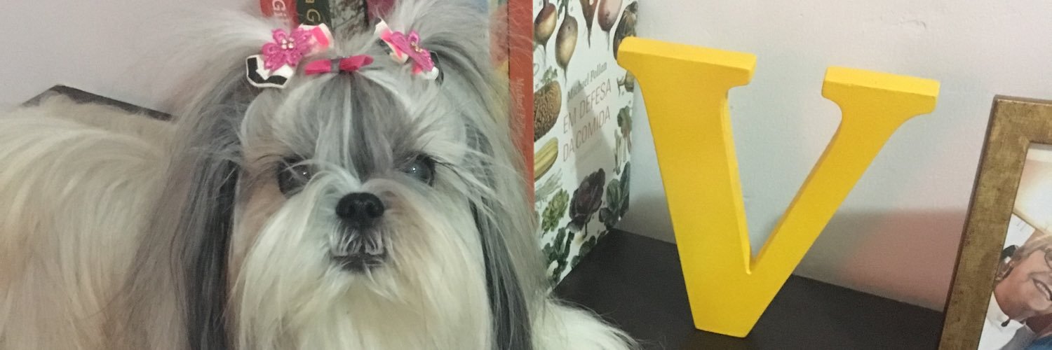 VanildeCampos's profile banner image
