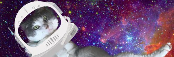 TheTinaVasquez Profile Banner