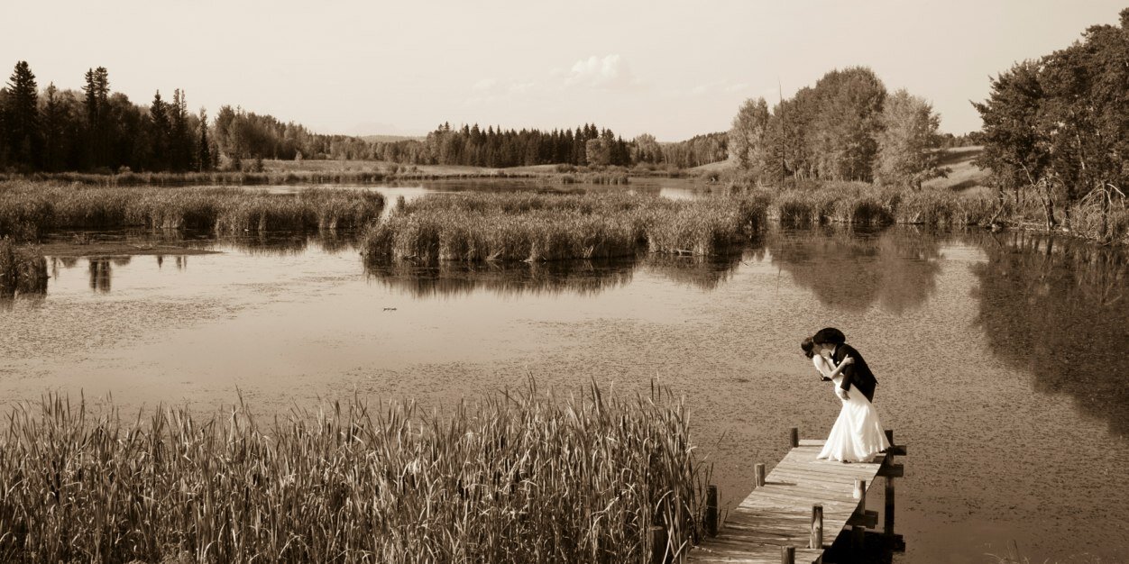 Bllfghtr's profile banner image