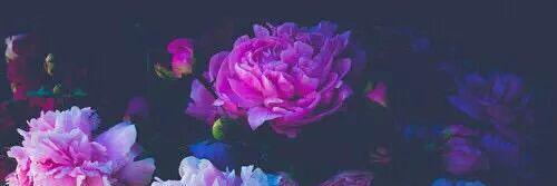 duaaqamar's profile banner image