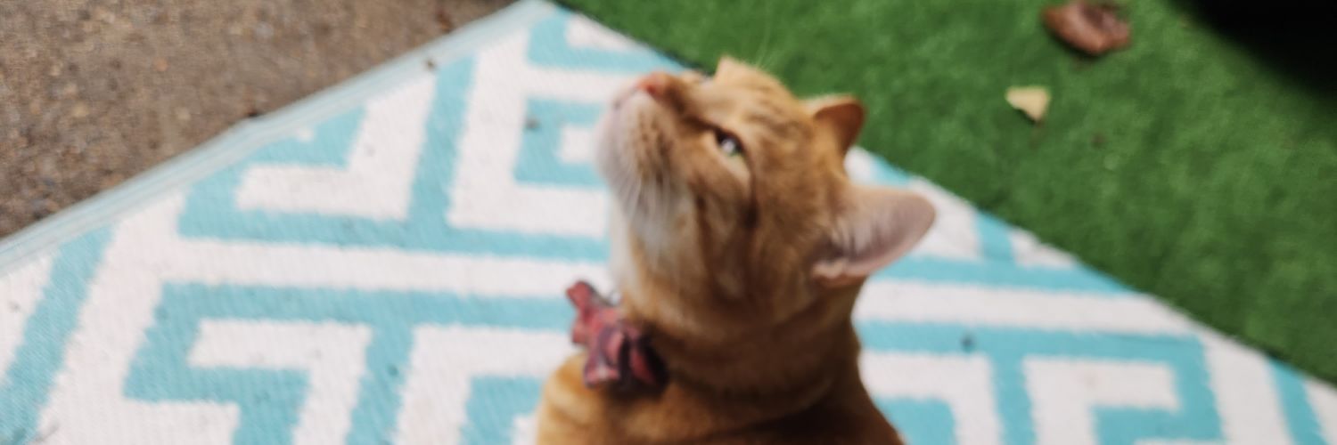 DoveryOrf's profile banner image