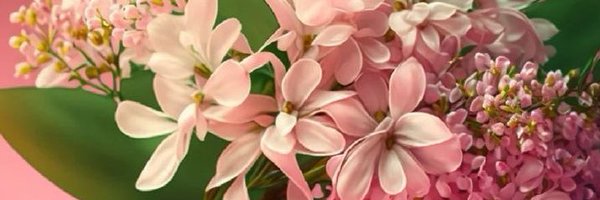 KavinMittalFans Profile Banner