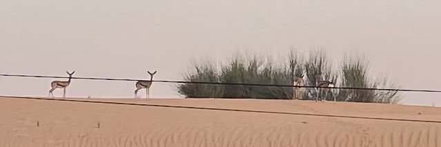 ﮼حمده banner