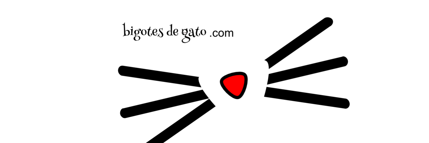 bigotes de gato banner