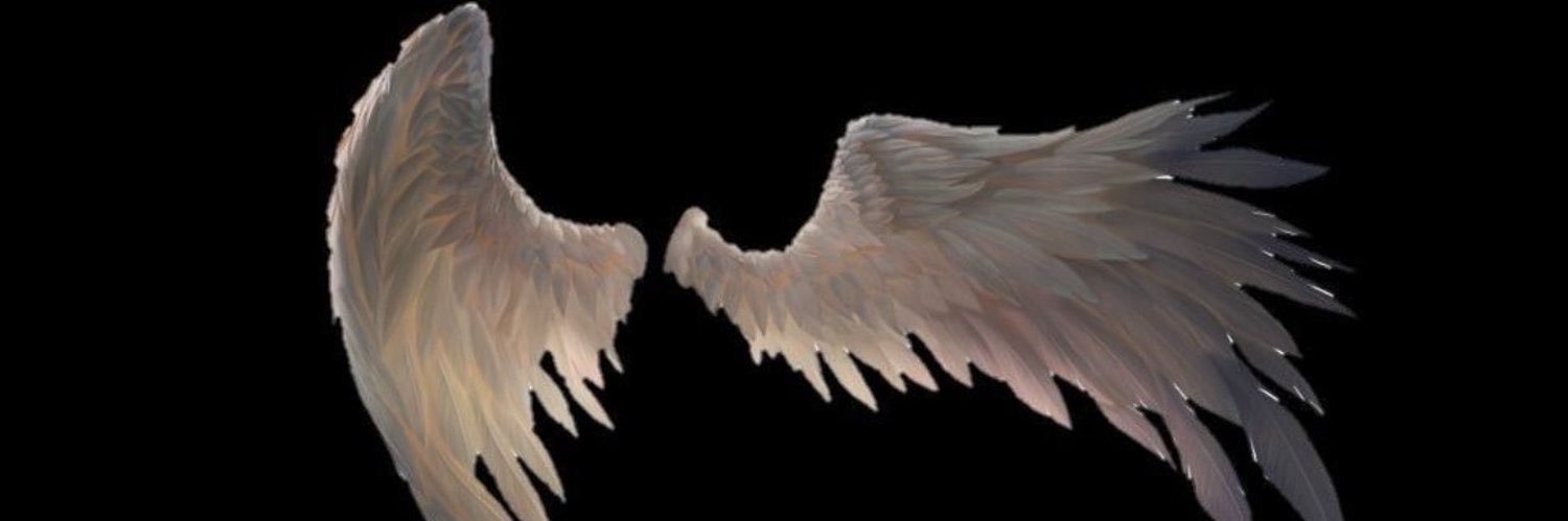 shauna banner
