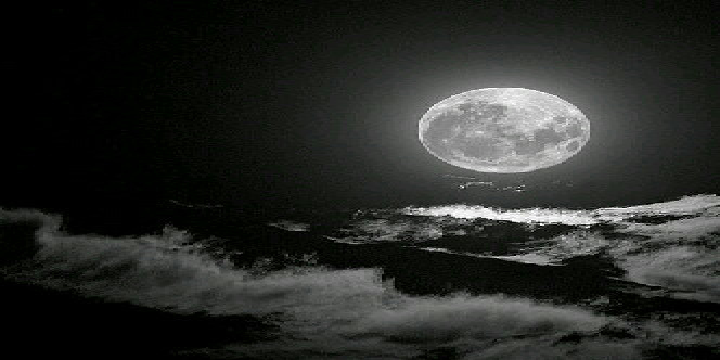 RaeedDobaei's profile banner image