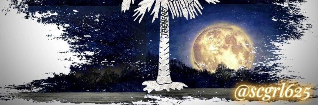 scgrl625 banner