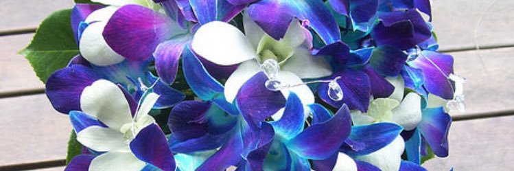 JenniferDaraaa's profile banner image