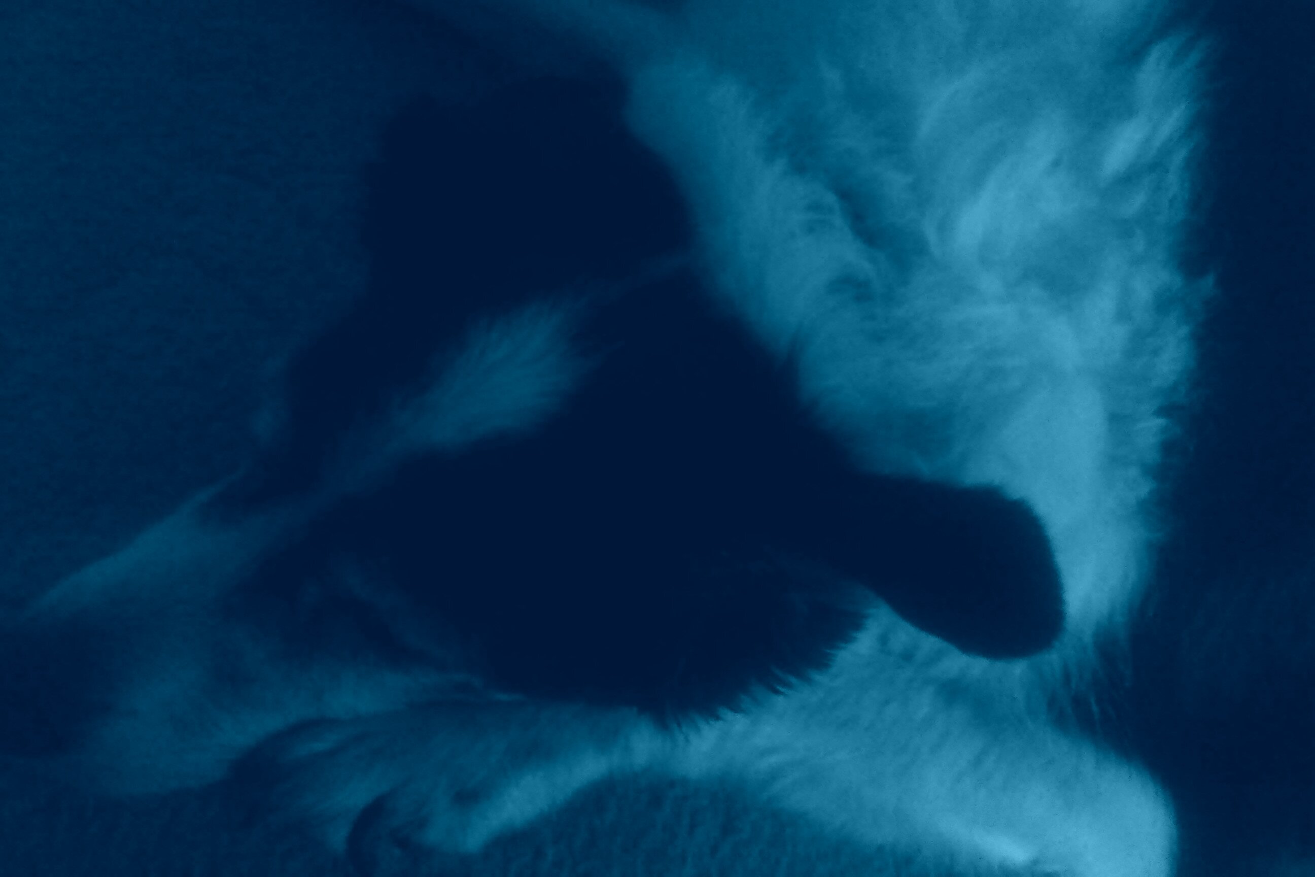 clarej623's profile banner image