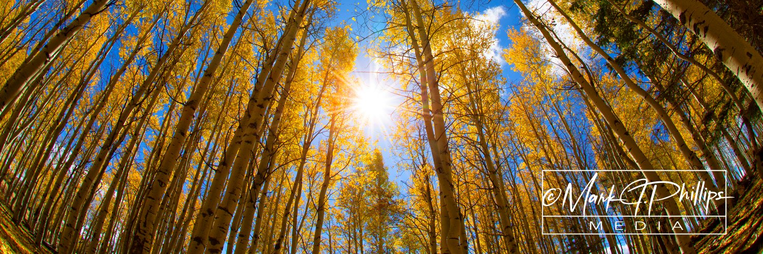 A Late to the Game BioHacker banner