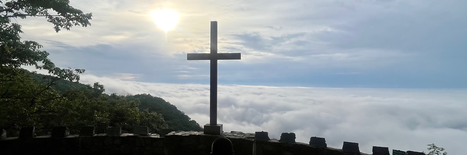 Cacey shorter banner