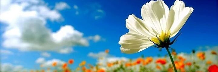 gladys8al's profile banner image