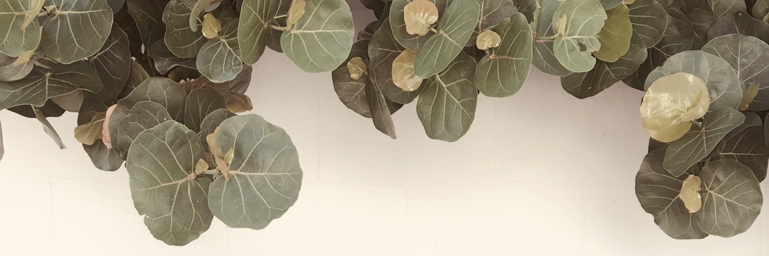 ameliaardeng's profile banner image