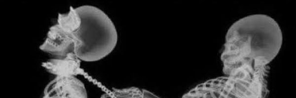 CarlosHBigpapi Profile Banner
