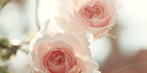 bbom111's profile banner image