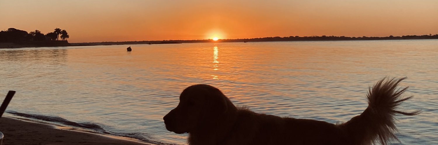 pazschweizer_'s profile banner image