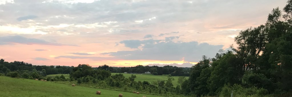 mnmillette's profile banner image