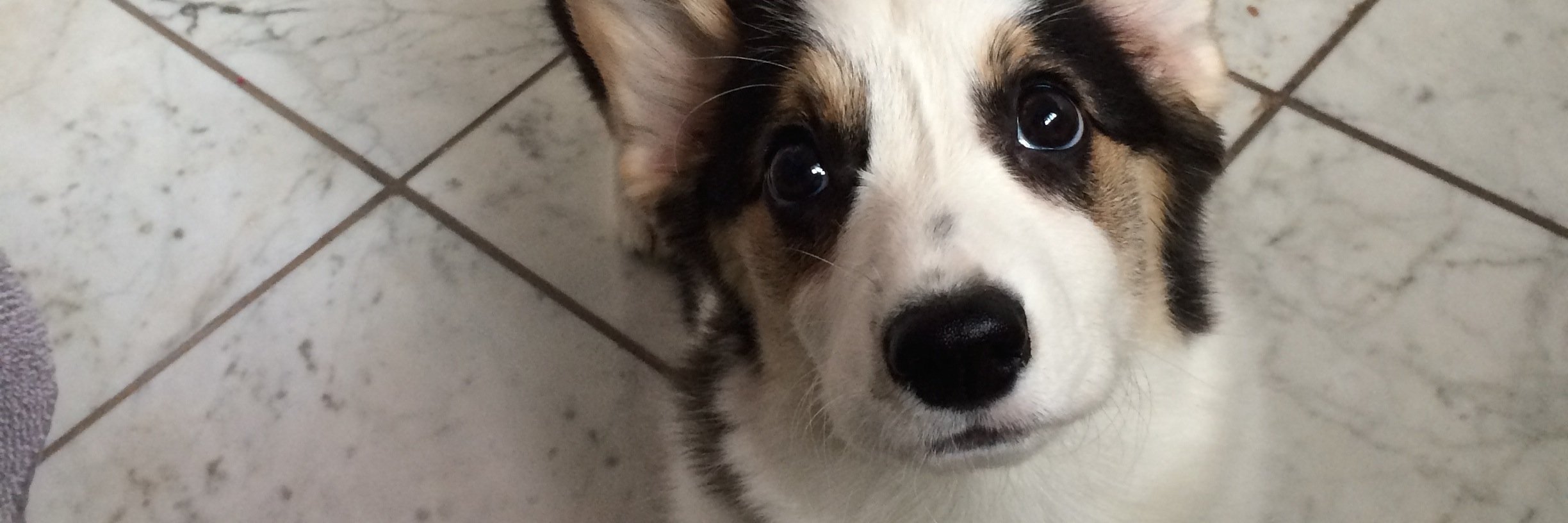 samibakescake's profile banner image