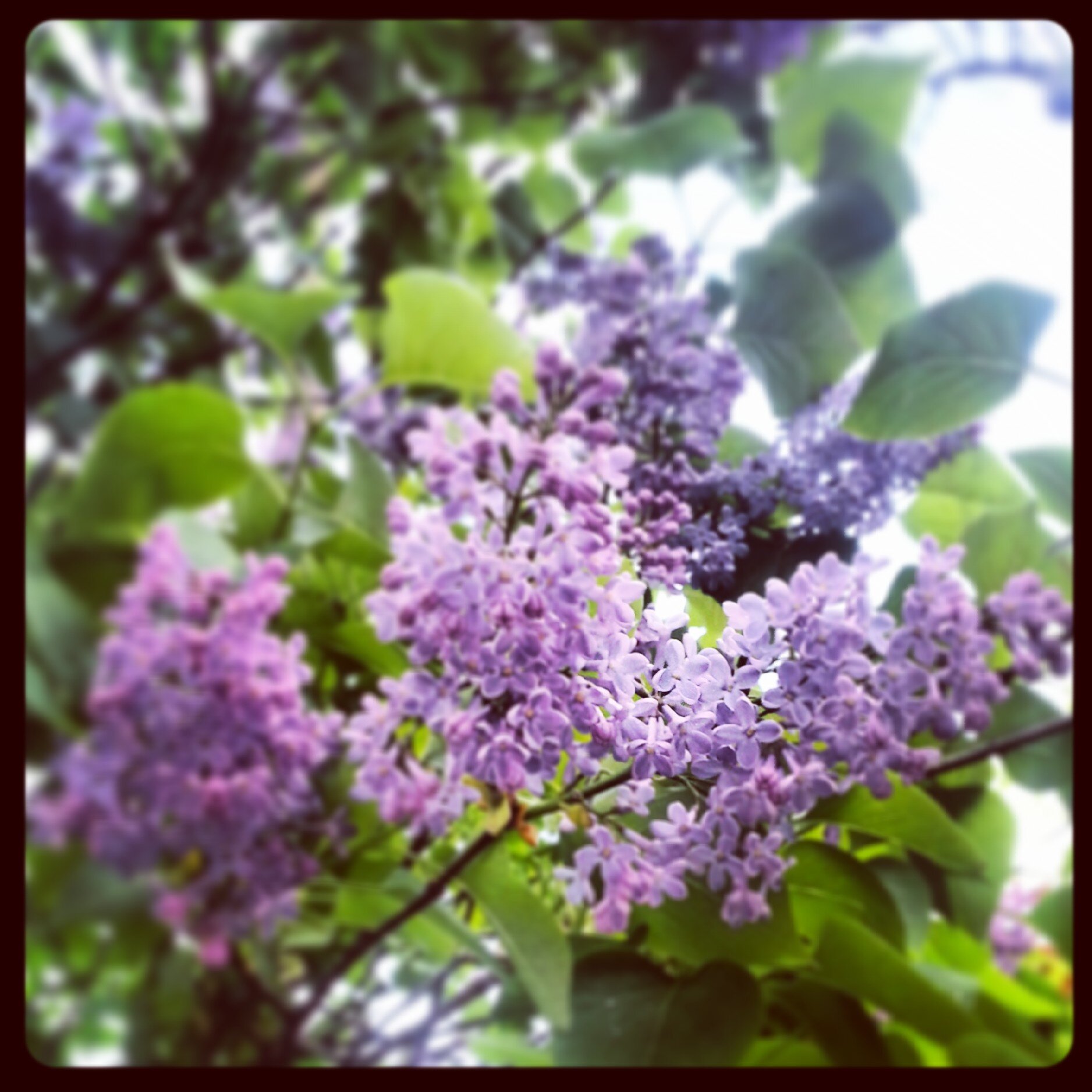 gemmalake11's profile banner image