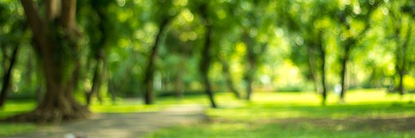 _maxsteininger Profile Banner