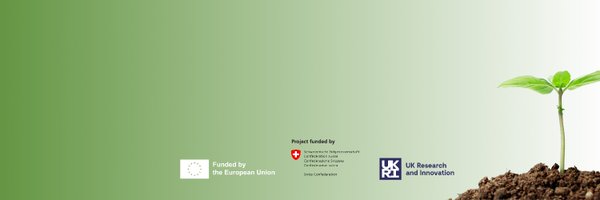 sob4es Profile Banner