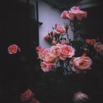2222Monaa's profile banner image