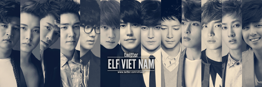 vinaelf's profile banner image