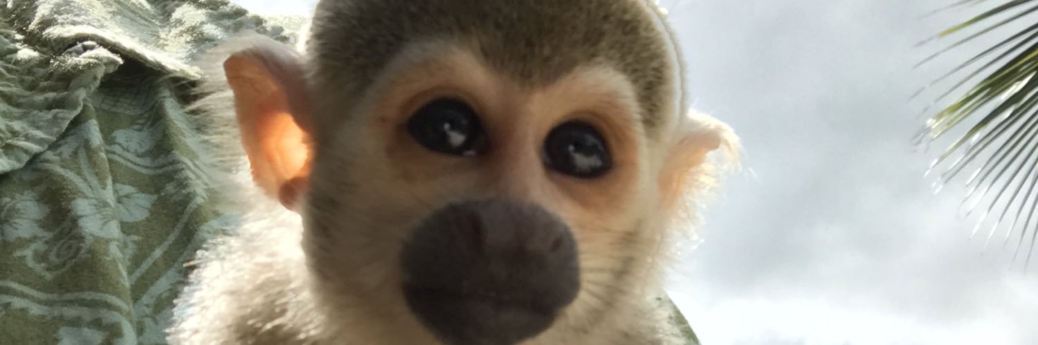Ali🔆 banner