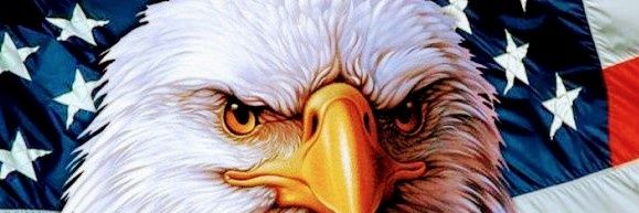 Sparg45Bob's profile banner image