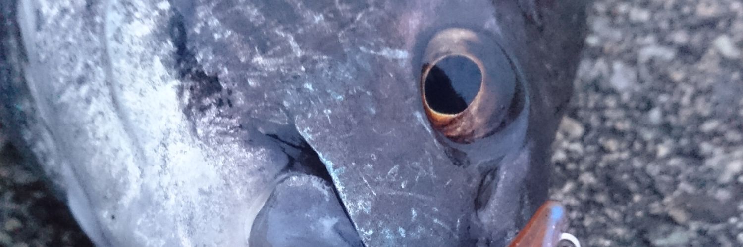 M1zkm's profile banner image