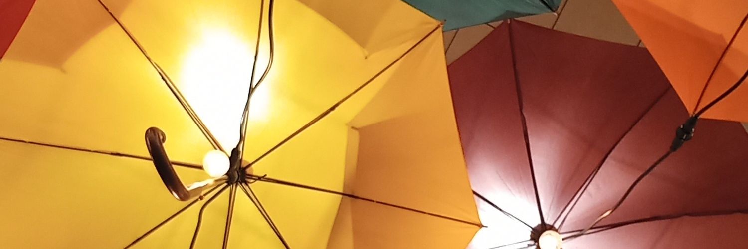 TamirisBernardi's profile banner image