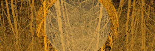 eveningwolves Profile Banner