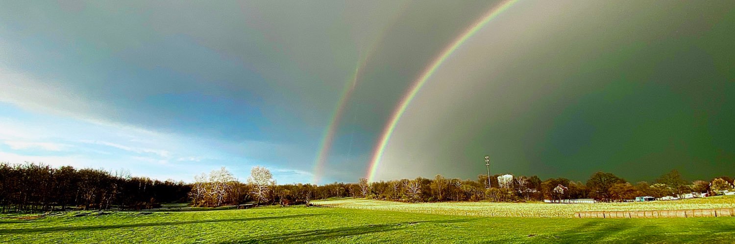 BIG DISTRACTION banner