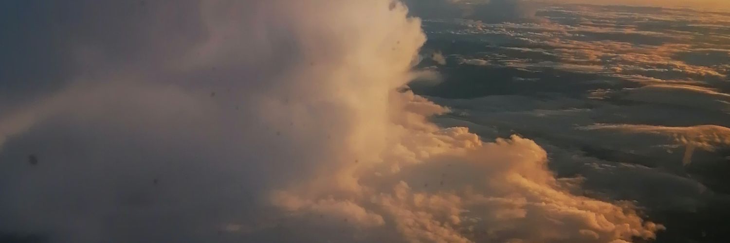 Собачковая жизнь banner
