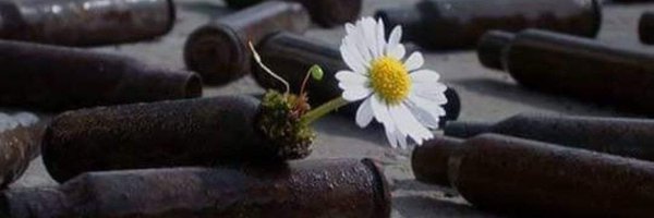 ladynora2023 Profile Banner