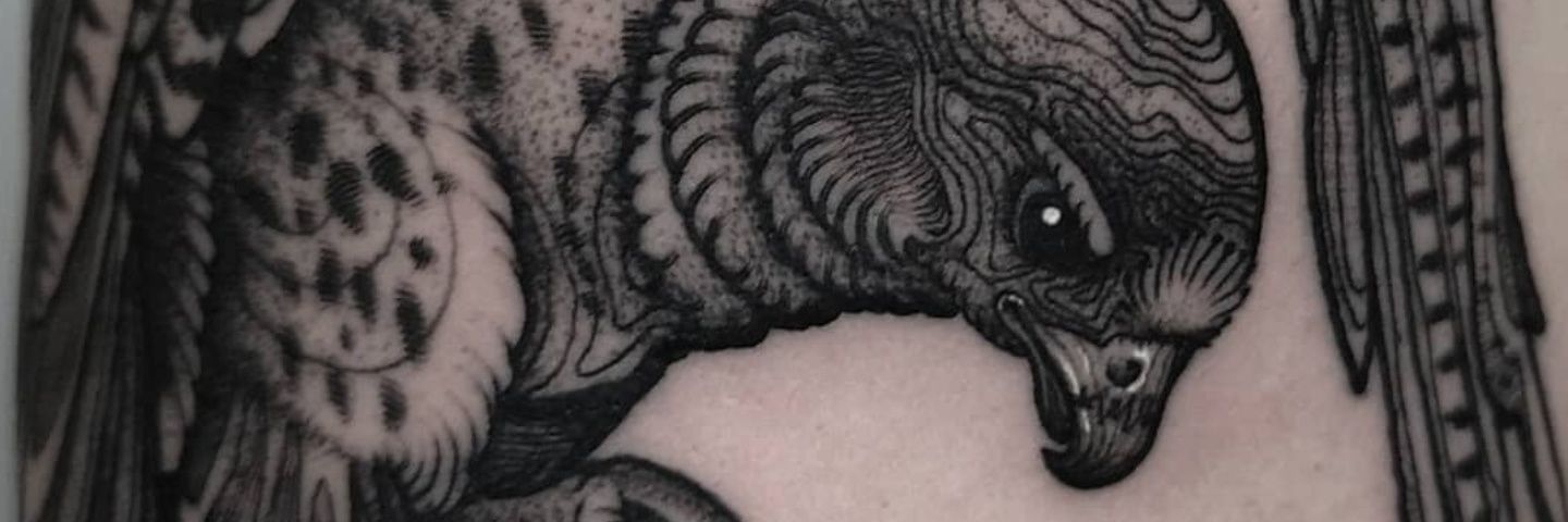 DanDaines's profile banner image