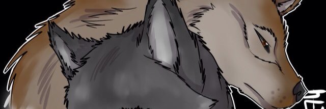 jacob_skyy's profile banner image