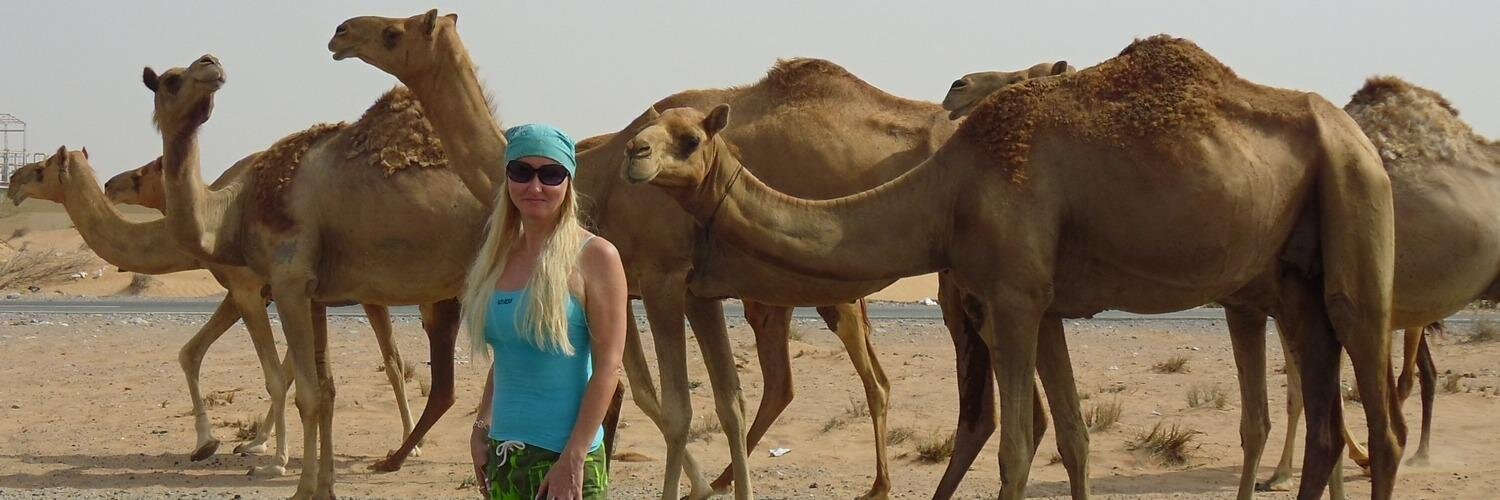 Desert2Jungle's profile banner image